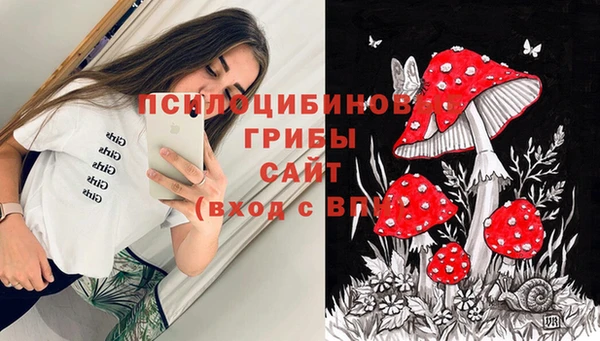 СК Арсеньев