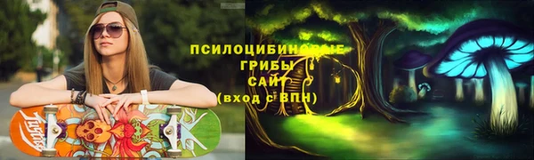 СК Арсеньев