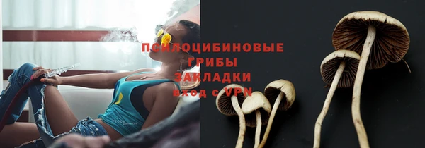 a pvp Аркадак