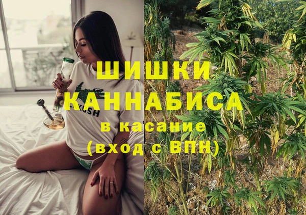 СК Арсеньев