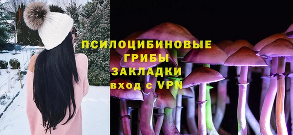 a pvp Аркадак