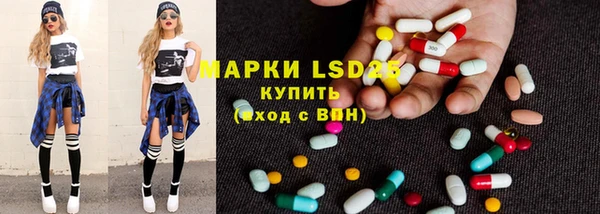 прущие грибы Коряжма