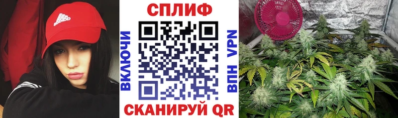 Конопля индика  Теберда 